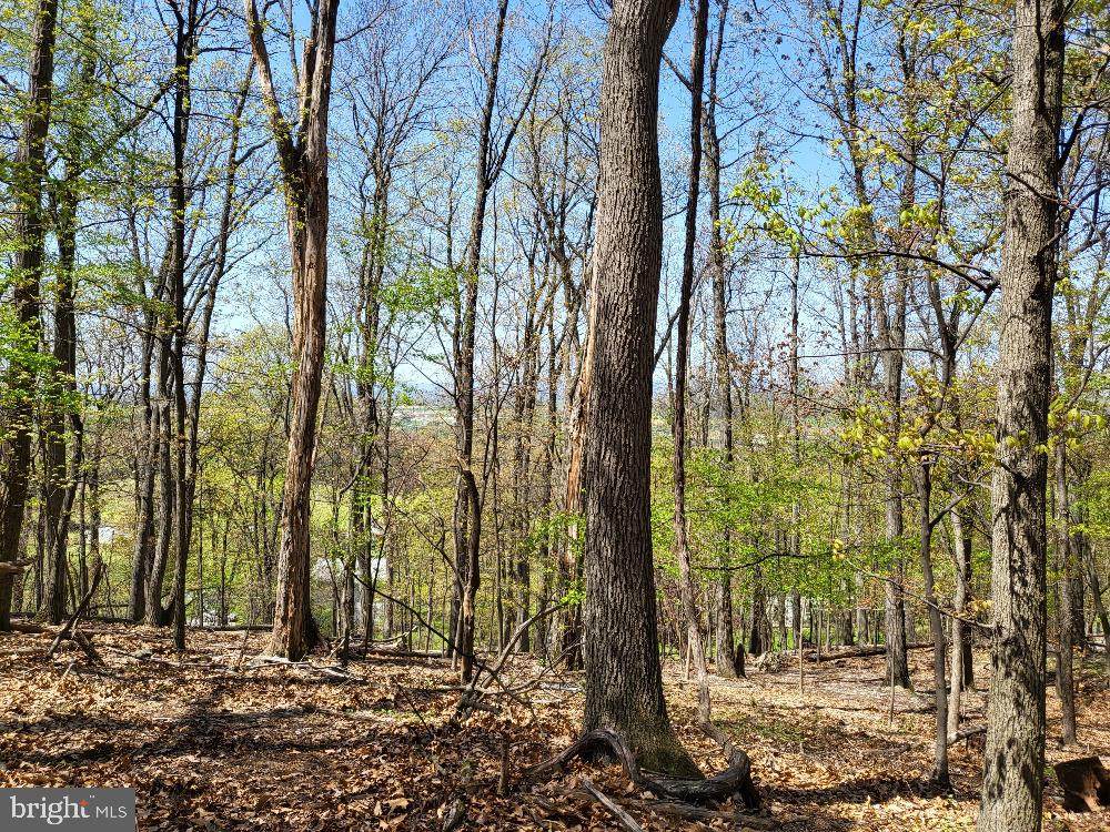 14543 Edgemont Road - Photo 1