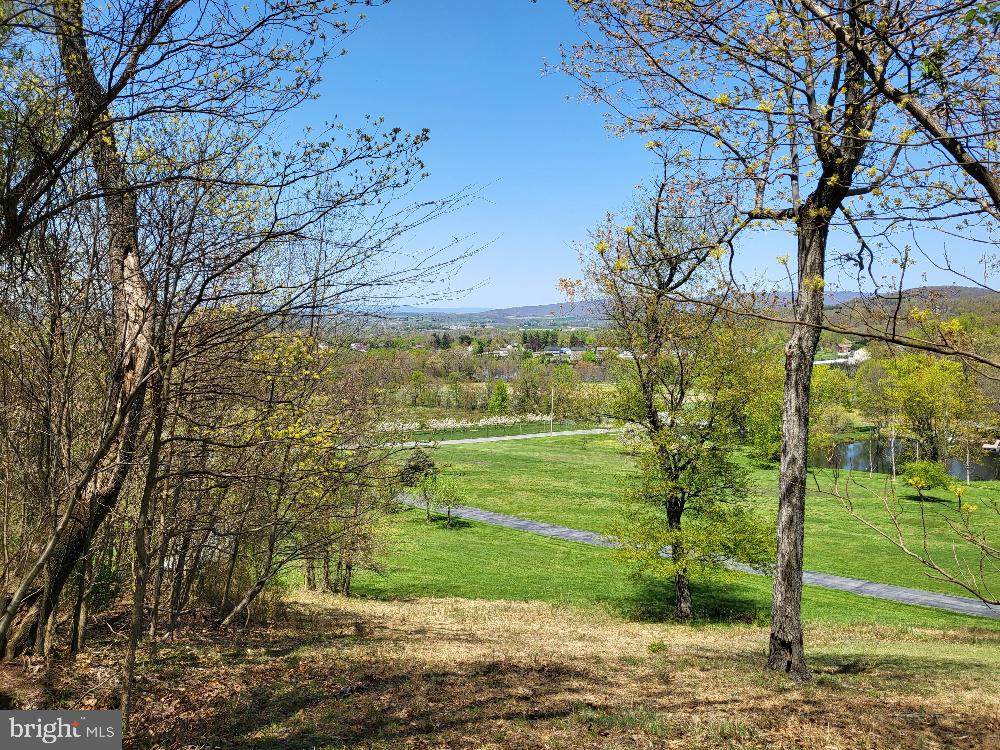 14547 Edgemont Road - Photo 1