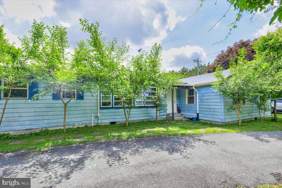 28867 Mount Joy Road - Photo 1
