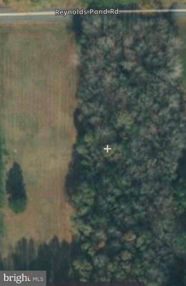 Lot #3 Reynolds Pond Road - Photo 1