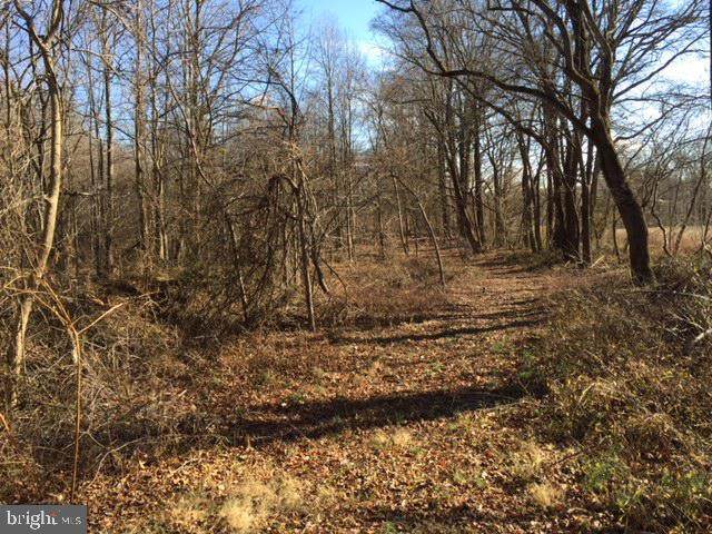 330 Union Church Road - Photo 1