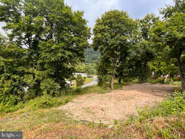 107 Berryville Circle - Photo 1