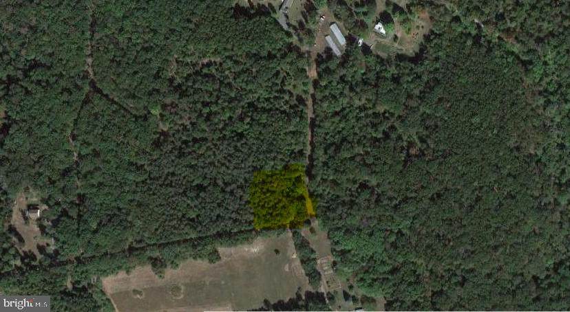 Lot 12 Wandering Lane - Photo 1