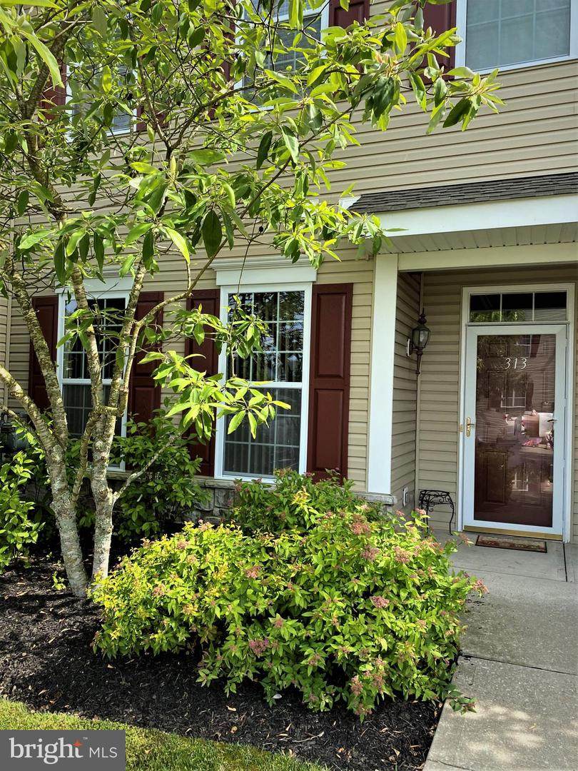 313 Raphael Court - Photo 1