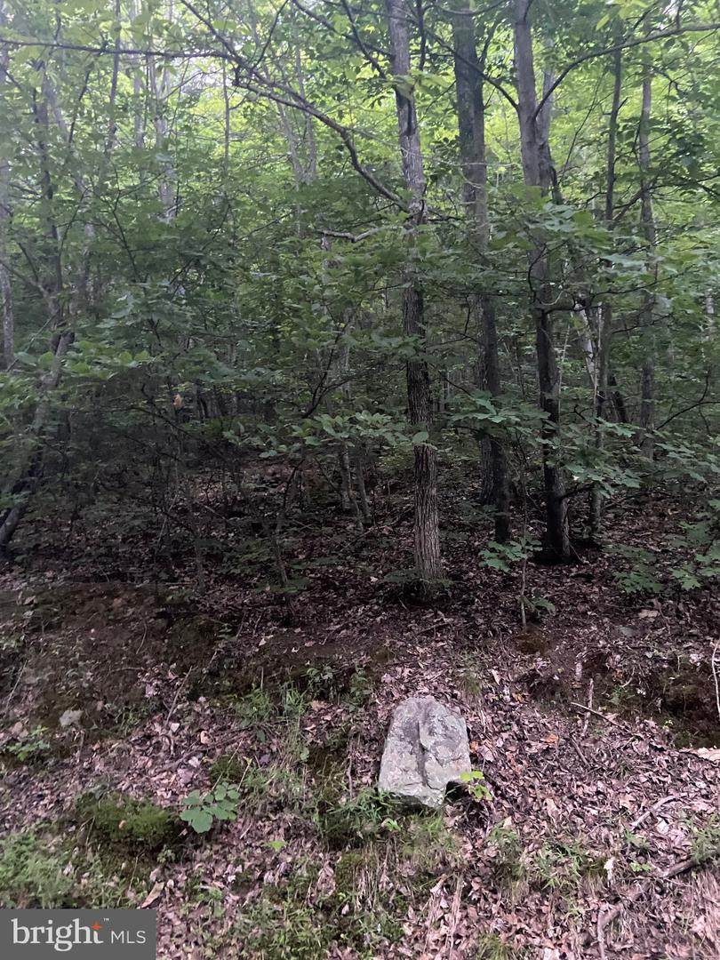 Lot 161 Forest Ridge Trail - Photo 1