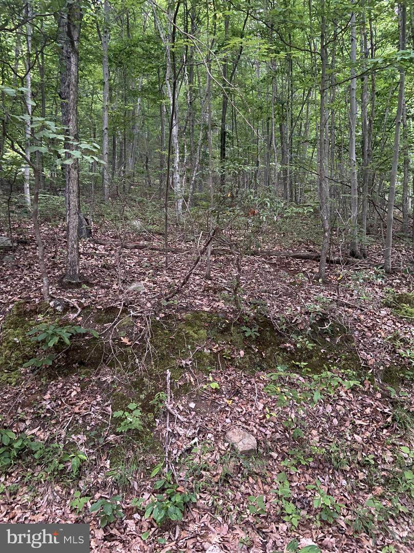 LOT 163 Forest Ridge Trail - Photo 1