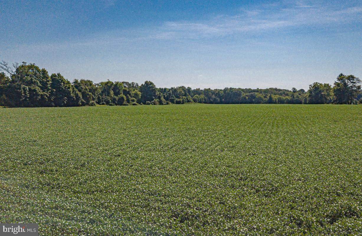 0 Lot 4 Buckmanville Road - Photo 1