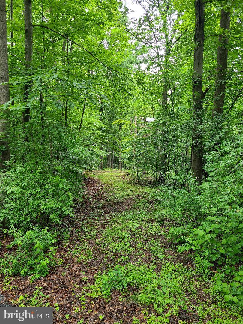 0 Kings Hill Rd - Photo 1