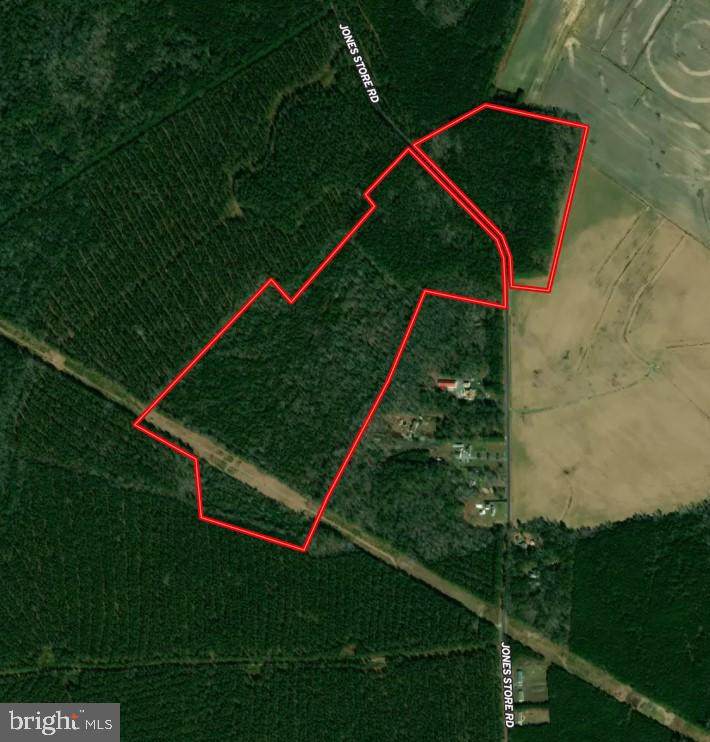0 Jones Store Road - Photo 1