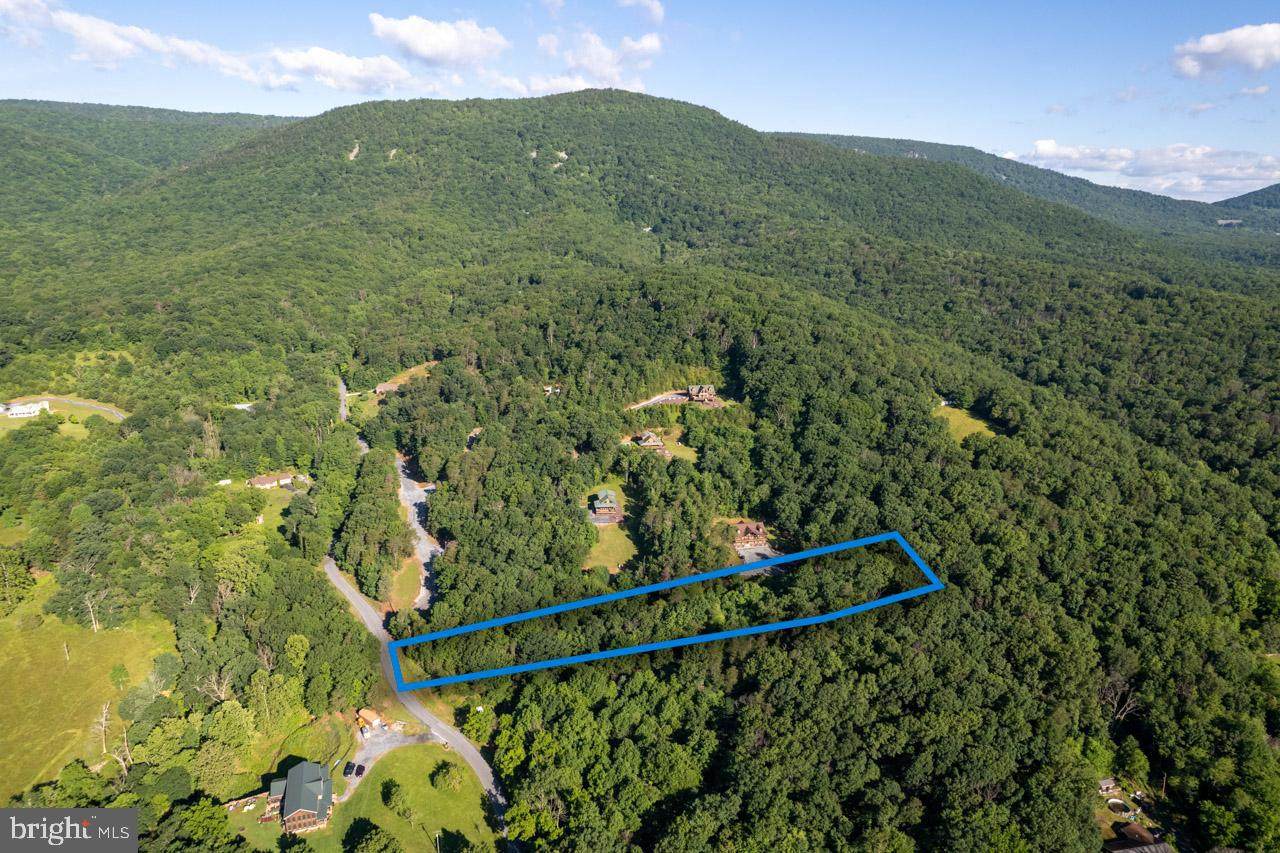 Lot 2- Log Home Place - Photo 1