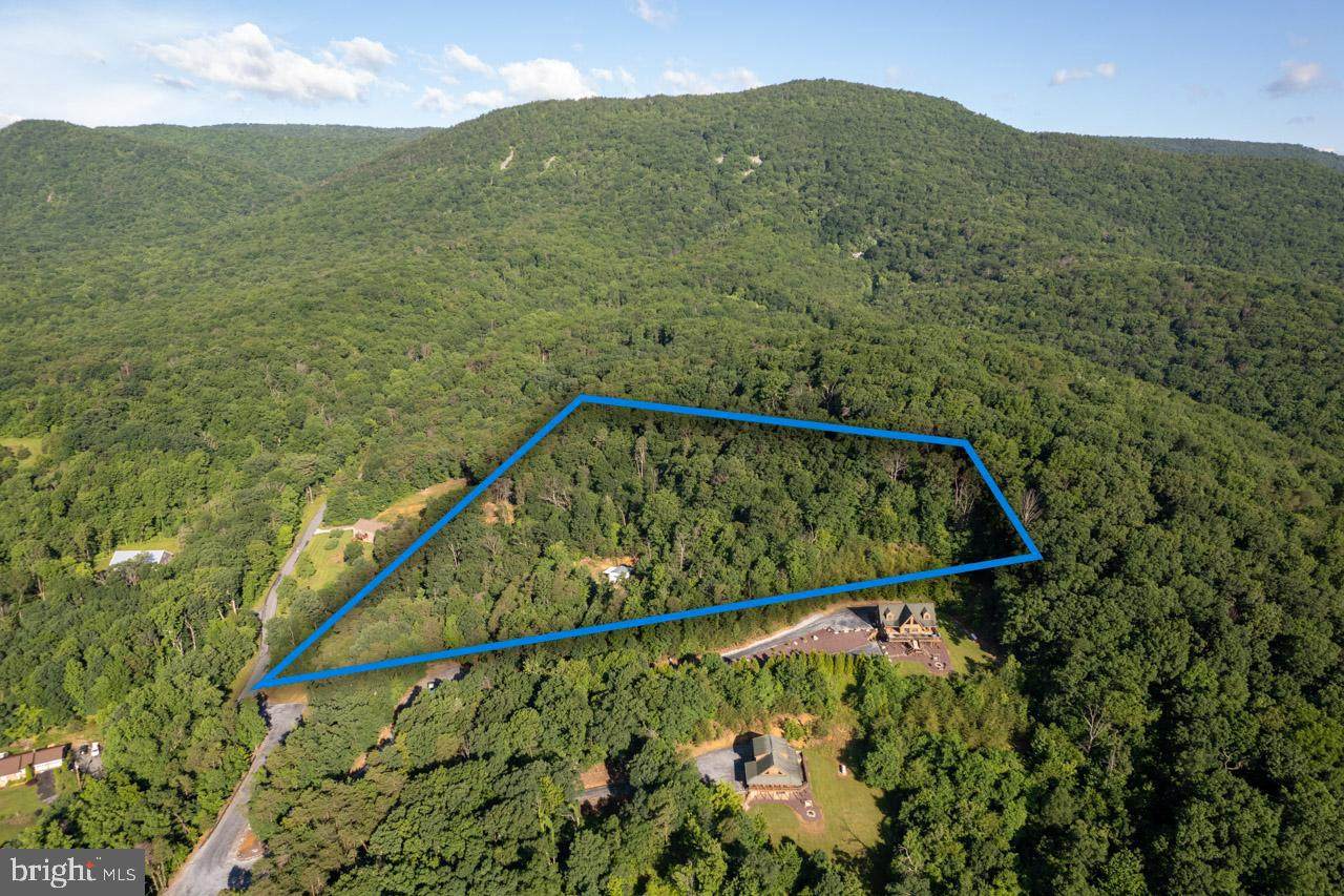 Lot 5- Log Home Place - Photo 1