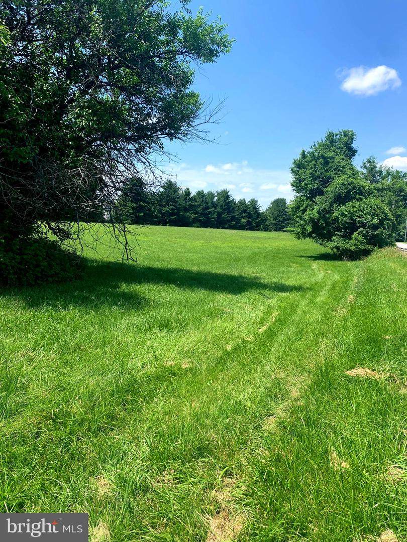 Ten Oaks Road - Photo 1