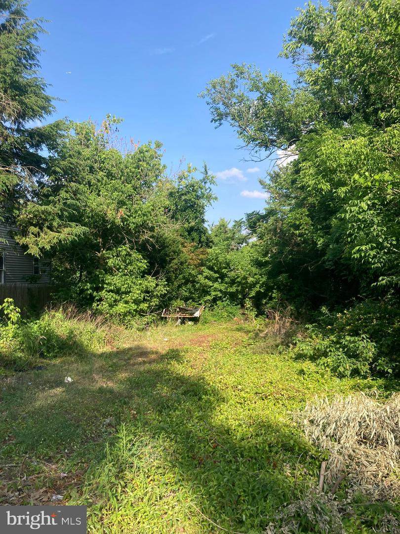 57 Hazel Lane - Photo 1