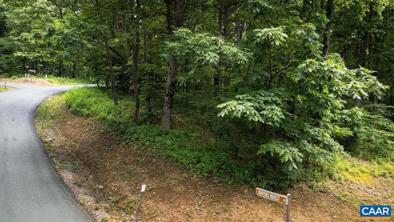 36 Ravens Roost Ln - Photo 1
