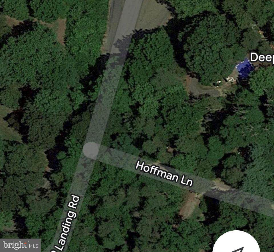 Hoffman Lane - Photo 1