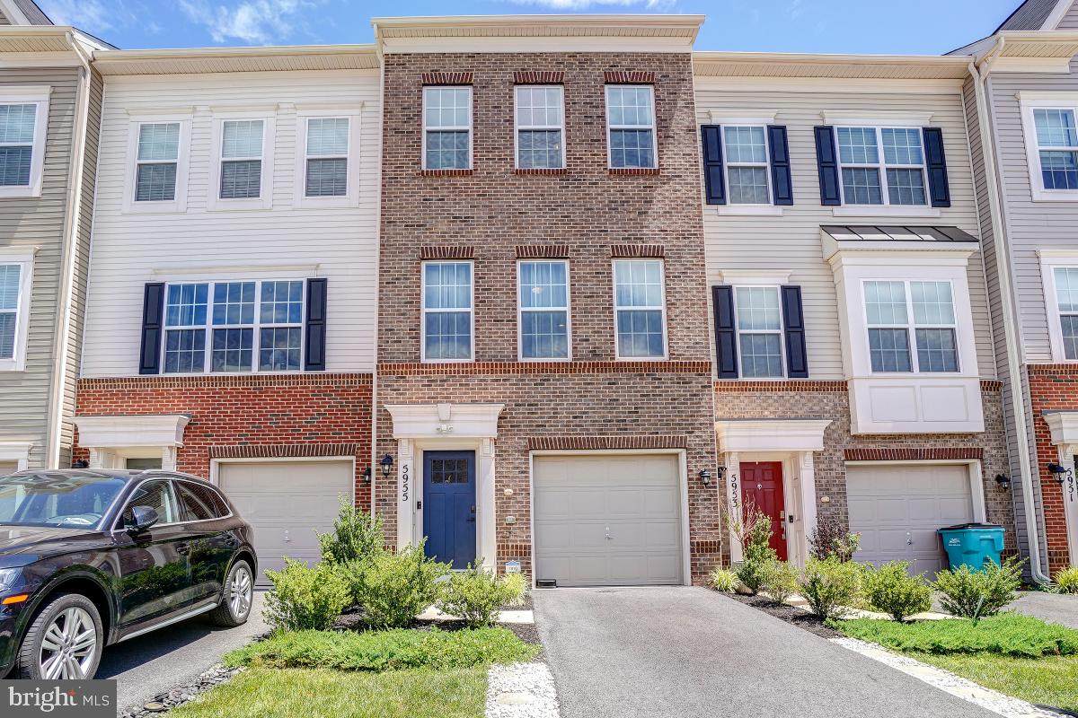 5955 Whelan Lane - Photo 1