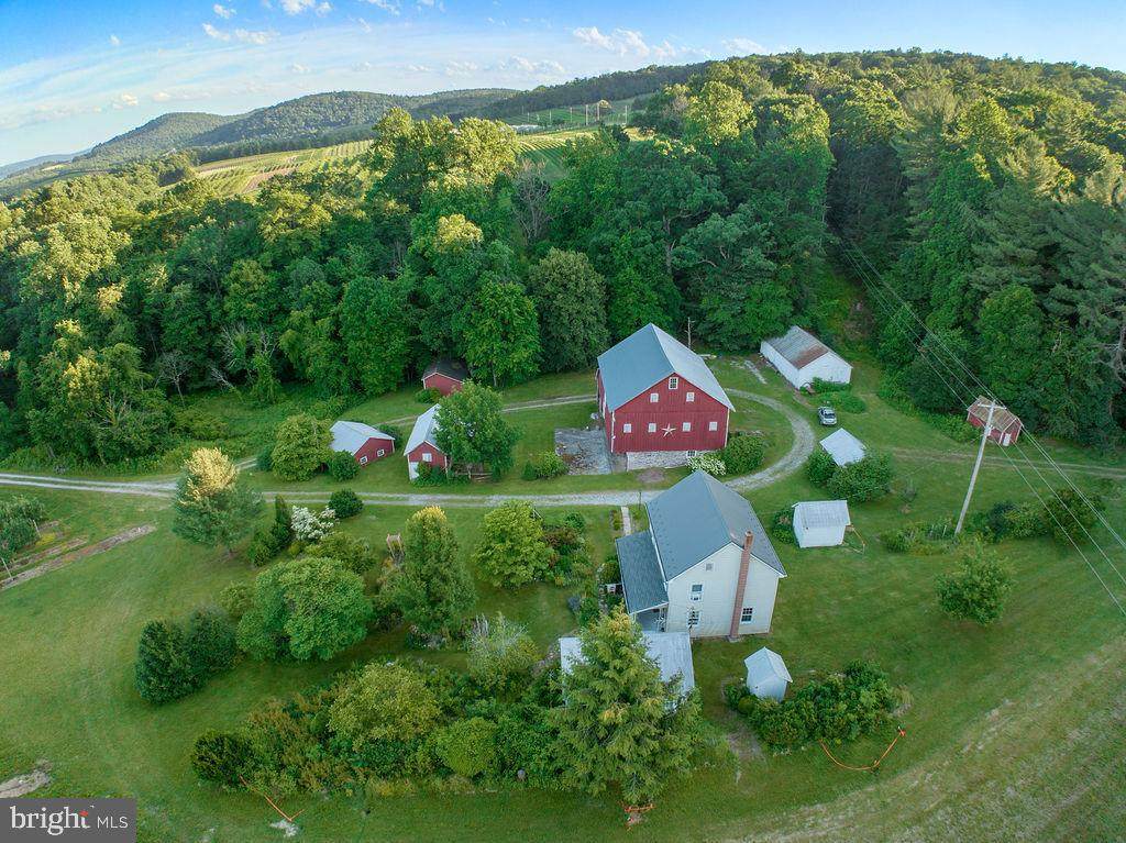 195 Peach Tree Road - Photo 1