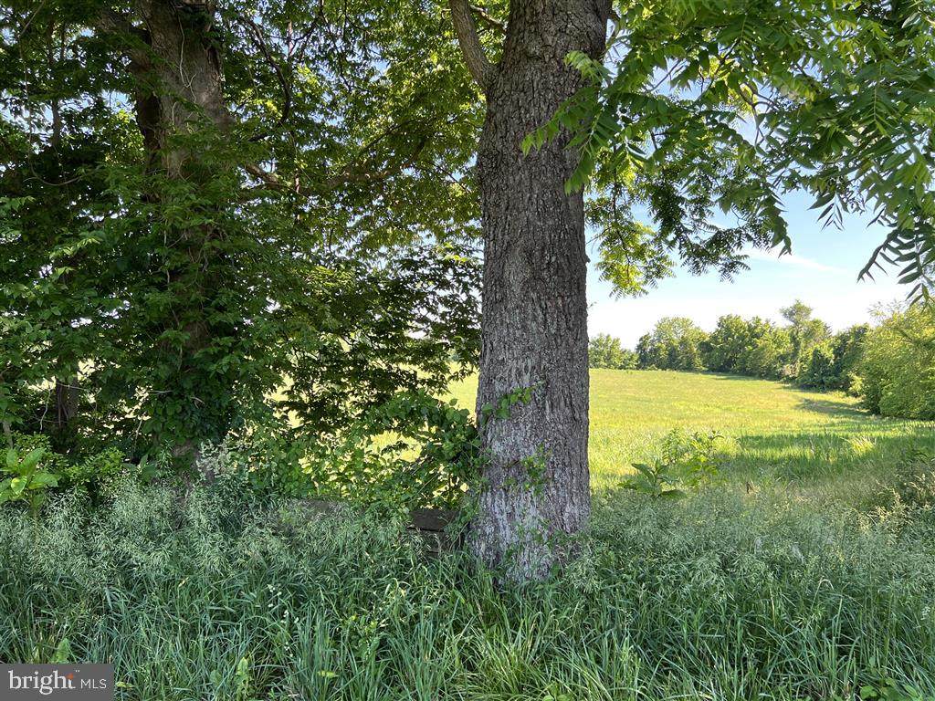 Crooked Run Ln - Photo 1