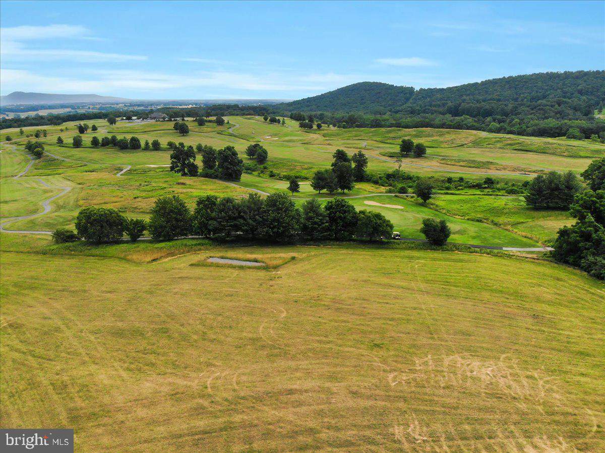 11890 Blairs Valley Road - Photo 1