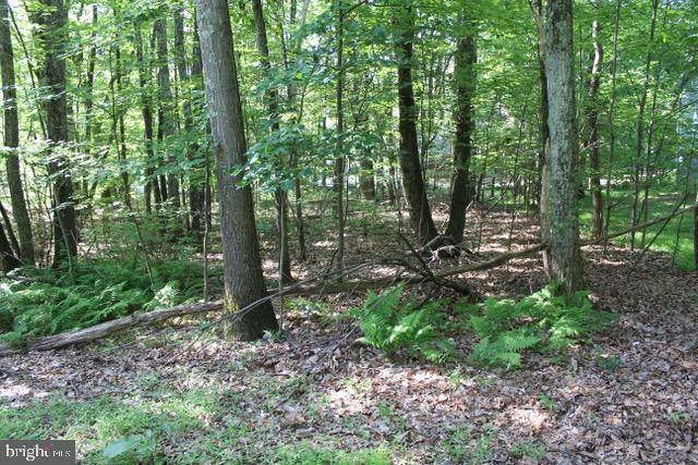 0 Pin Oak Lane - Photo 1