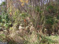 201 Kreutz Creek Road - Photo 1