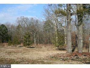 1900 Blue Bell Road - Photo 1
