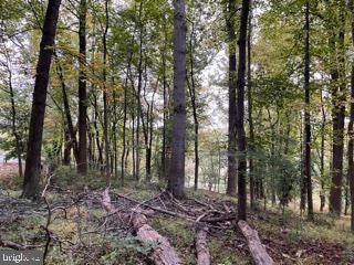 4401 Roxbury Mill Road - Photo 1
