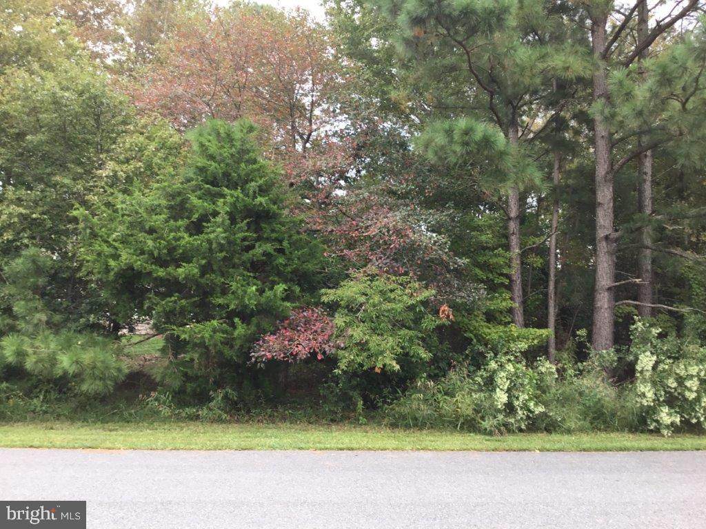 Lot 17 Spyglass Lane - Photo 1