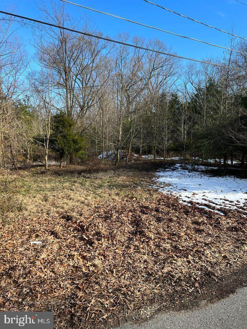 16226 Livingston Road - Photo 1