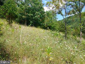 Lot 48 Highland Springs Rd., - Photo 1