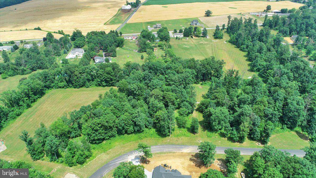 Lot 49 Red Oak Lane - Photo 1