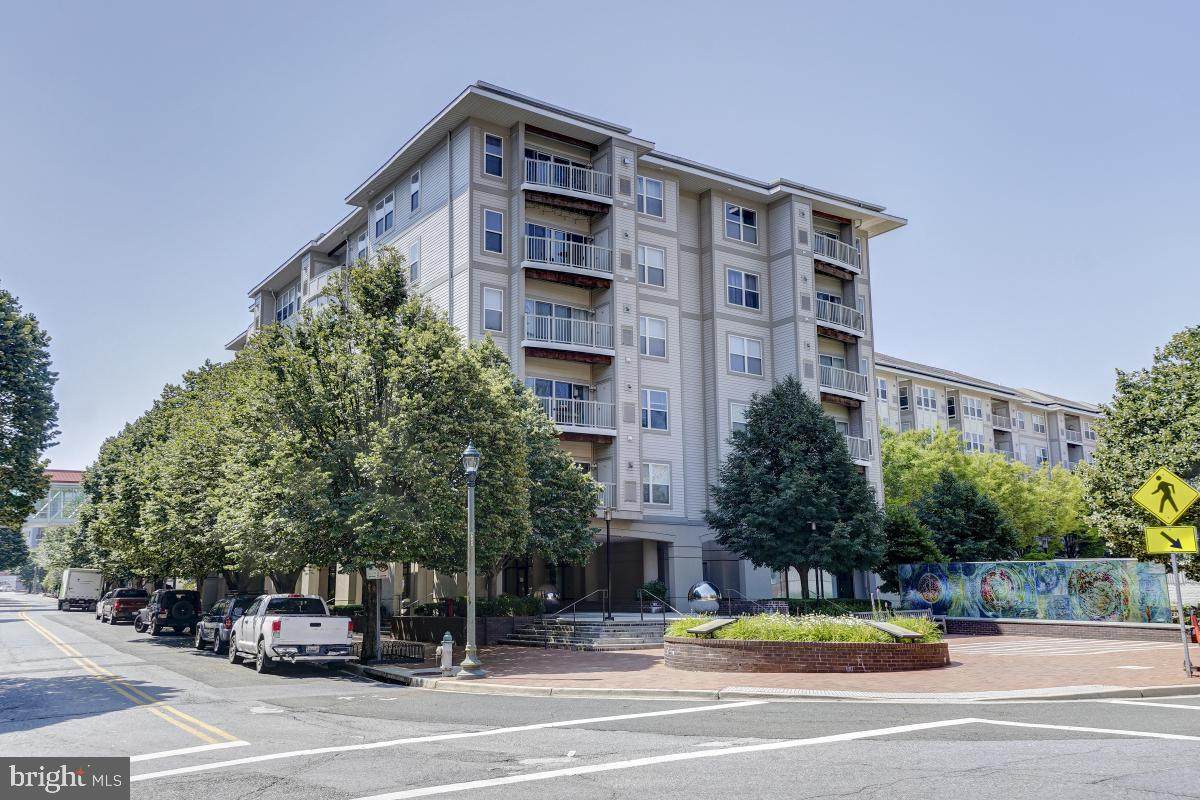 8045 Newell Street - Photo 1