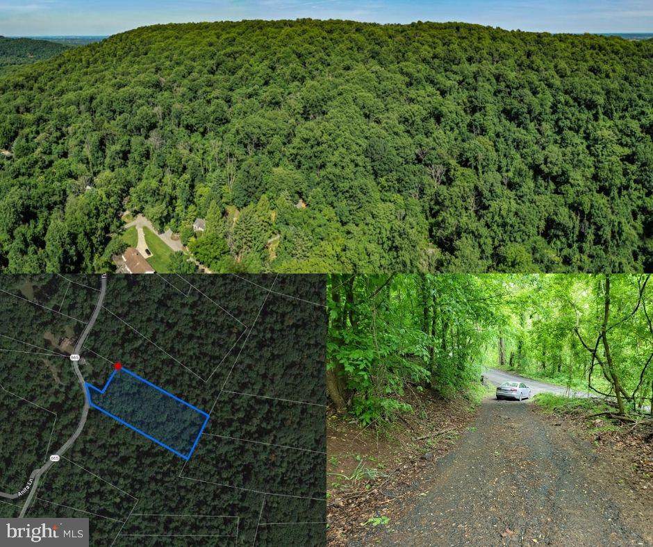 Furnace Mountain Road - Photo 1