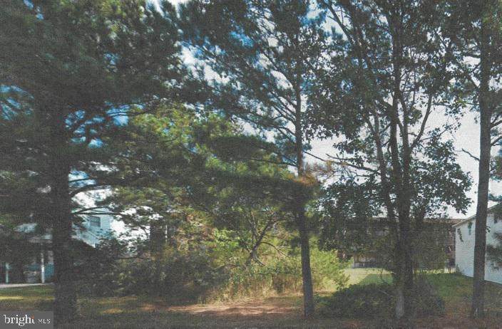 706 Anchor Chain Road - Photo 1