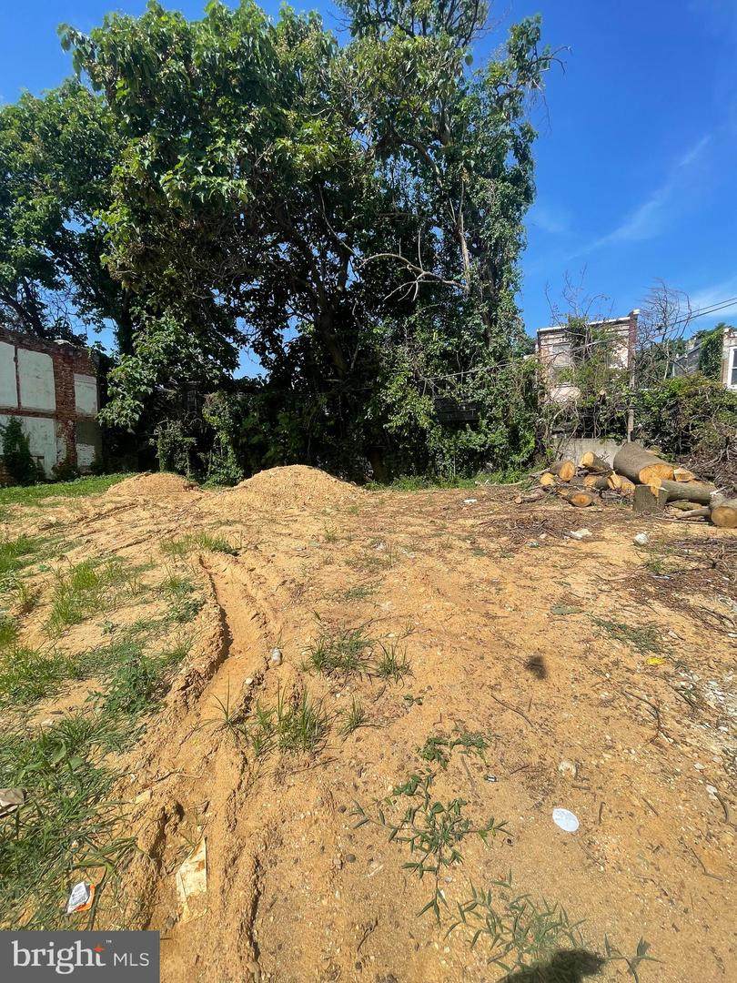 2436 Garnet Street - Photo 1