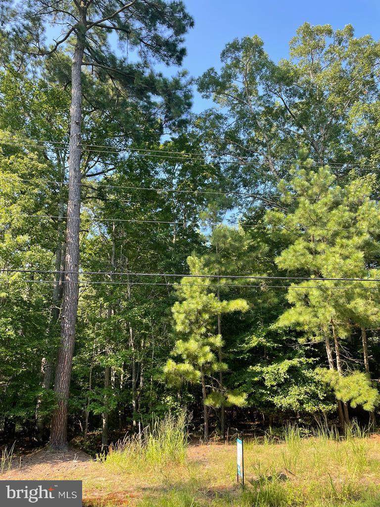0 Lot 34 Corbin Hall Ln - Photo 1