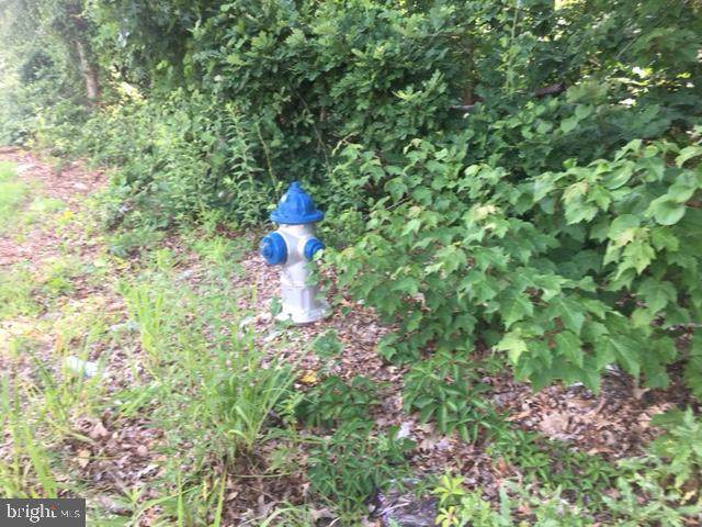 909-N Tuckahoe Road - Photo 1