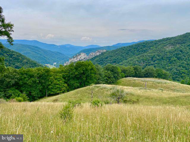 Roy Gap Road - Photo 1