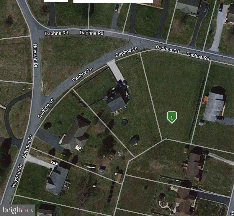 30385 Daphne Lane - Photo 1