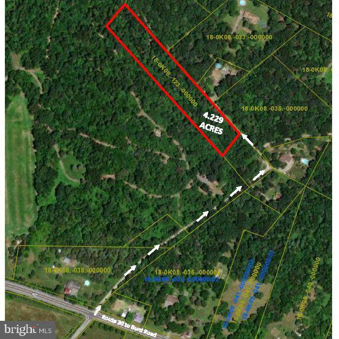 4.229 AC Burd Rd - Photo 1