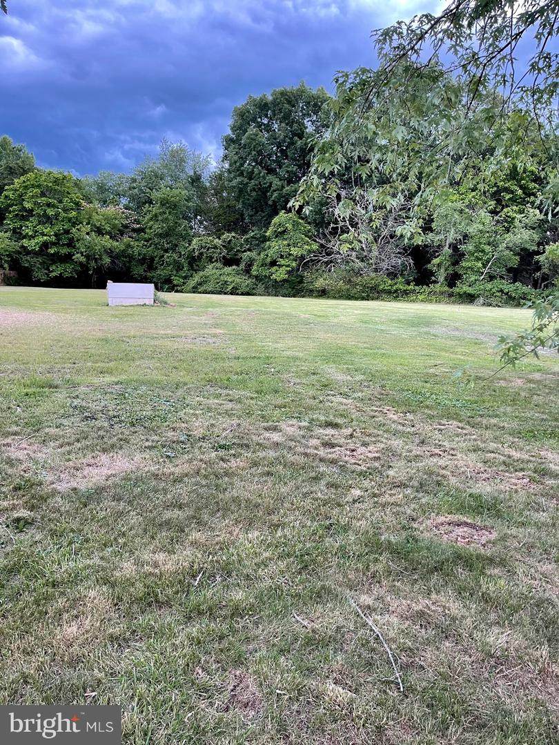 11555 James Madison St - Photo 1