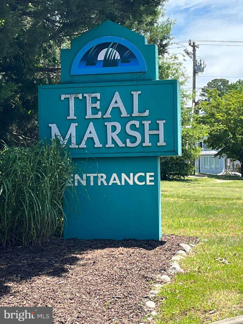 9927 Stephen Decatur Highway - Photo 1
