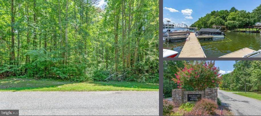 11149 Piney Forest Road - Photo 1
