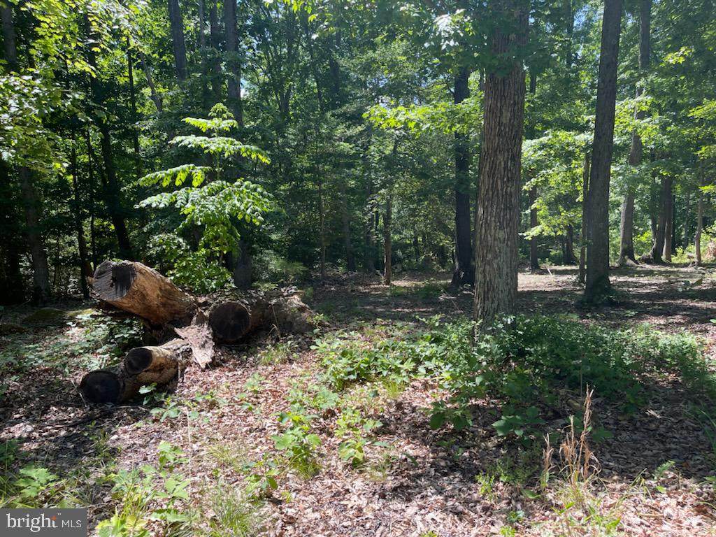 Woodberry Drive - Photo 1