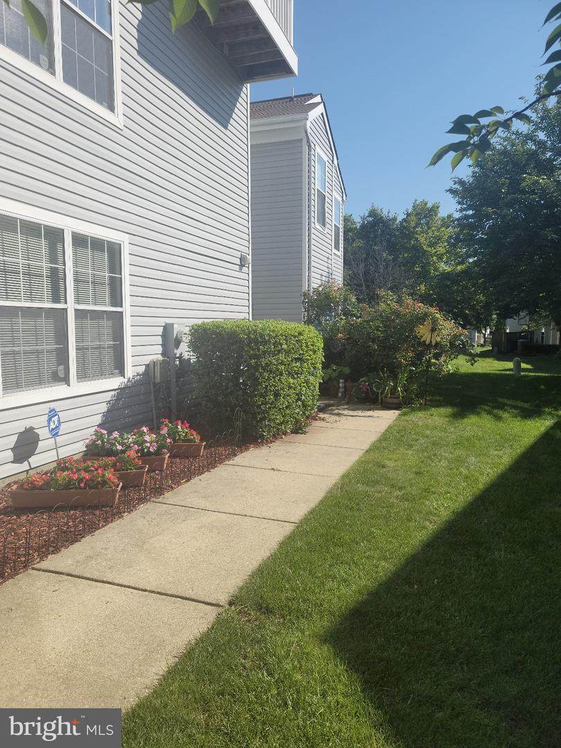 16313 Ellipse Terrace - Photo 1