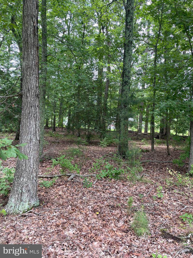 Red Oak Road - Photo 1