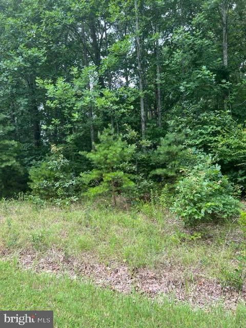 5418 Bazzanella Drive - Photo 1