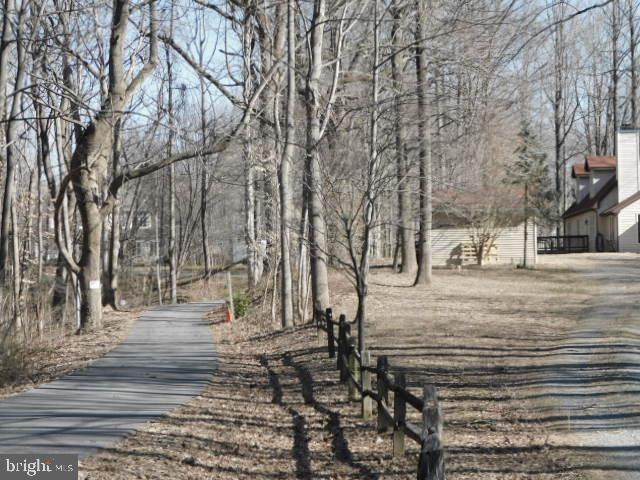 6473 Old Solomons Island Road - Photo 1