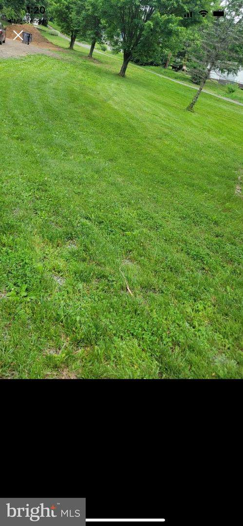 101 Bobcat Road - Photo 1