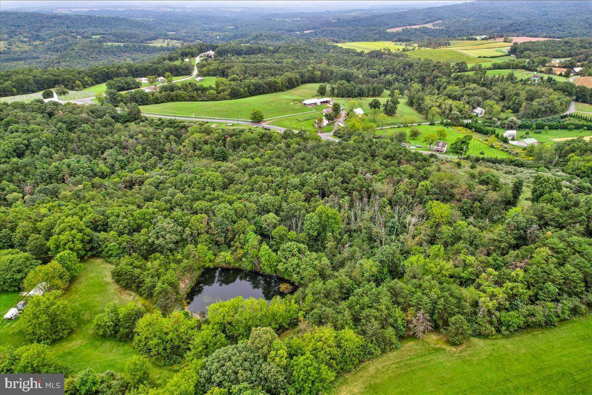 Lot Crooked Run Road - Photo 1
